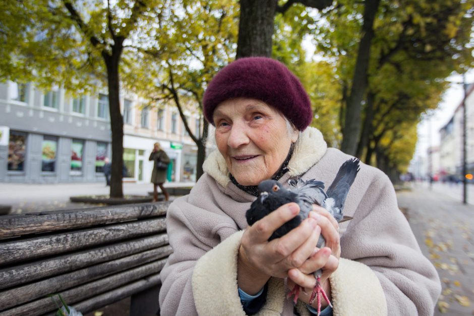 Kaip kaunietė prisijaukino balandžius