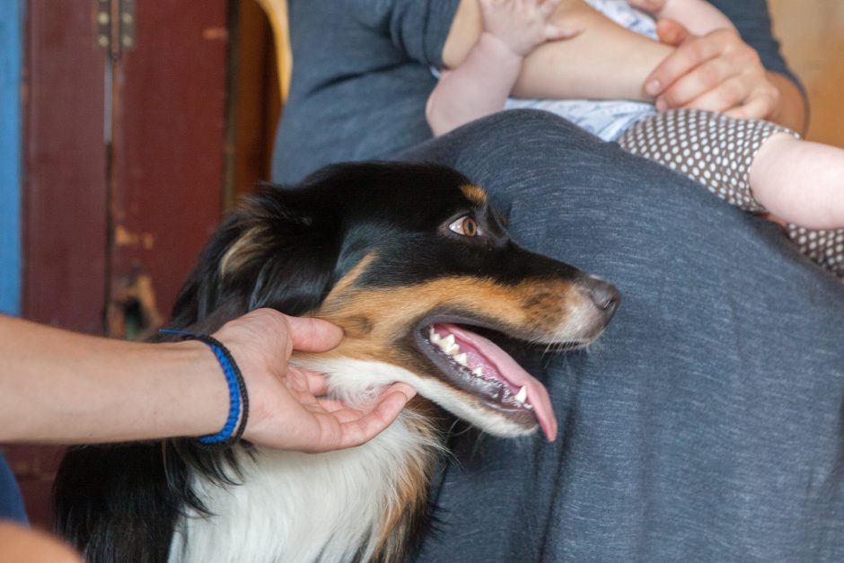 Trijų vaikų mama: svarbiausia – bendravimas, žmogiški ryšiai