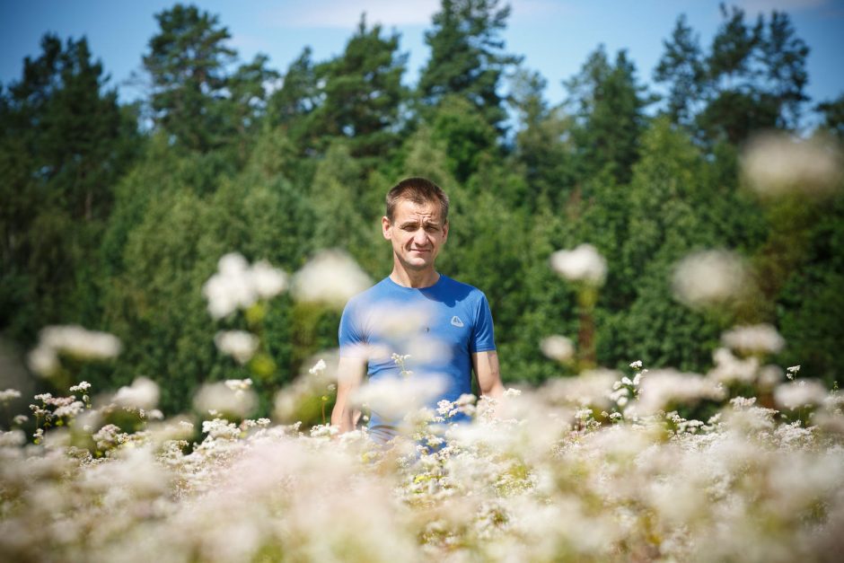 Kauno rajone įsisiūbuoja reti verslai: kopūstus keičia šilauogės