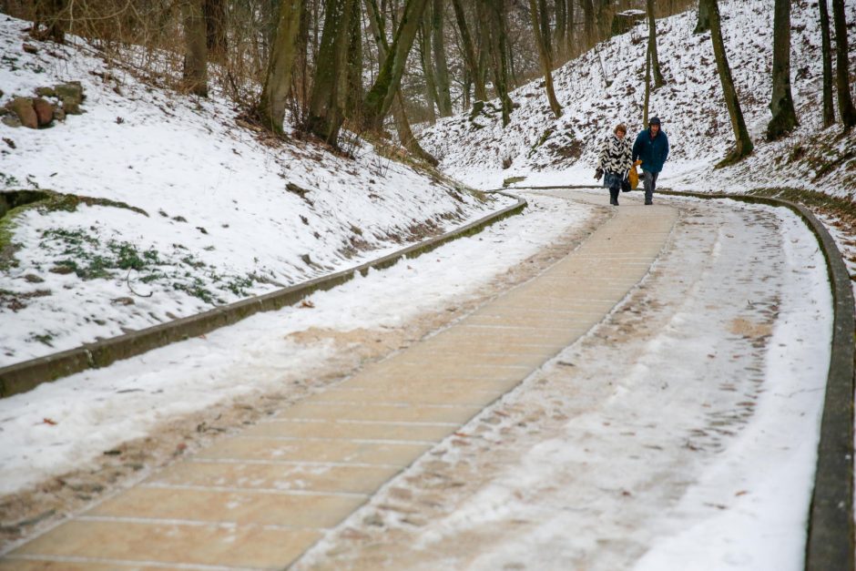 Kaip už 11 mln. eurų pasikeis Lietuvos zoologijos sodas?