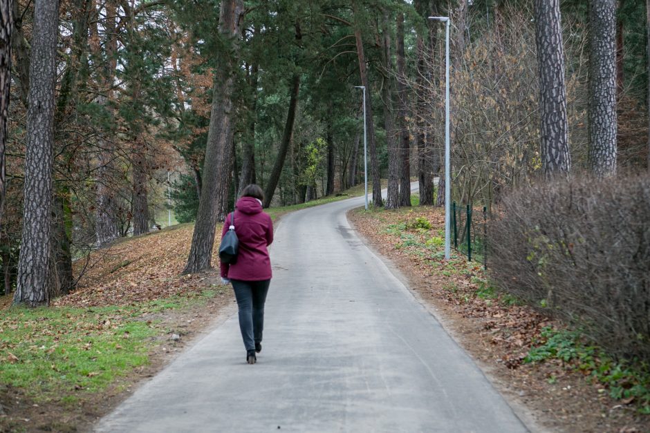 Panemunės šilo pertvarkos: kokie darbai padaryti?