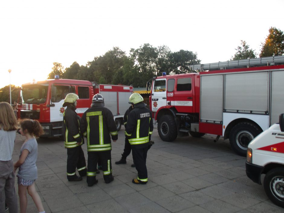 Detektyvas prie Trijų mergelių tilto baigėsi laimingai