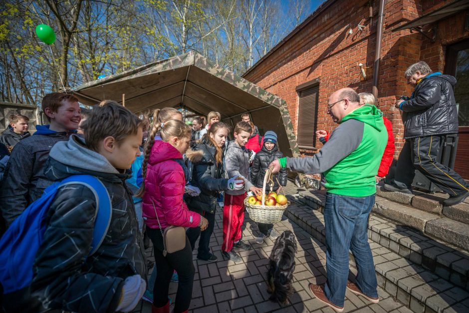 Kaunas kviečia į tradicinę švarinimosi akciją