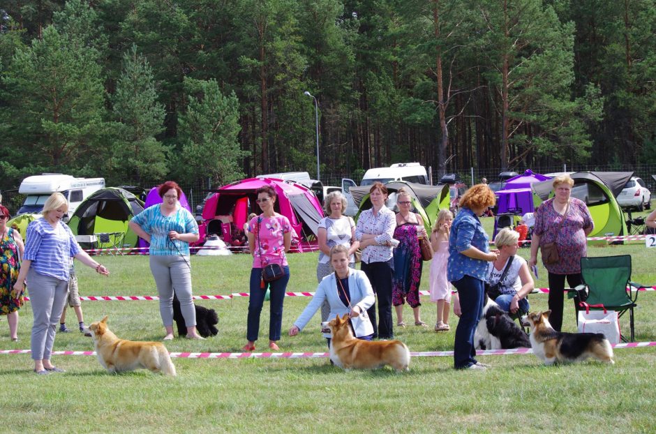 Druskininkai diktuoja vasaros ritmą