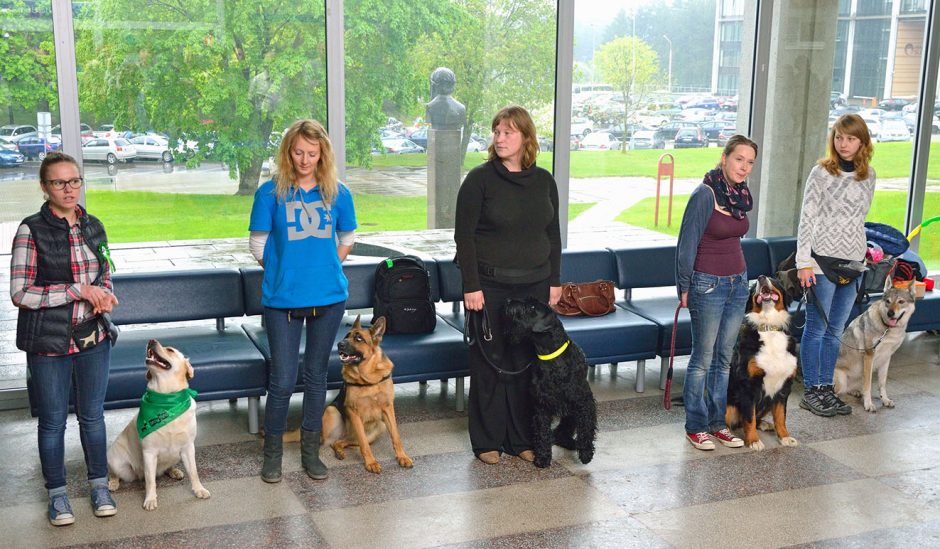 Studentams stresą prieš egzaminus padėjo malšinti šunys