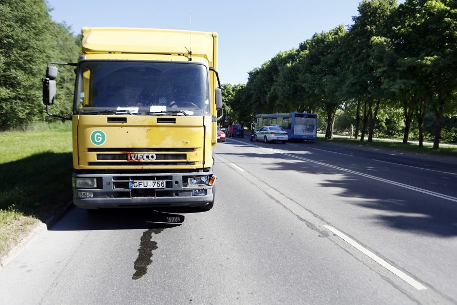 Briedis Klaipėdoje sukėlė avariją