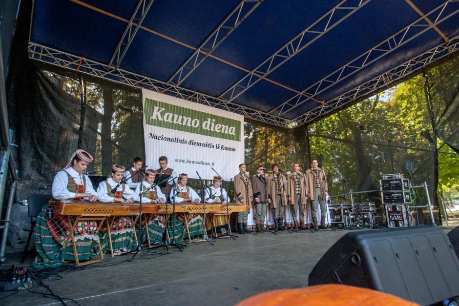 Folkloro festivalio scenoje labiausiai trūko gruzinų