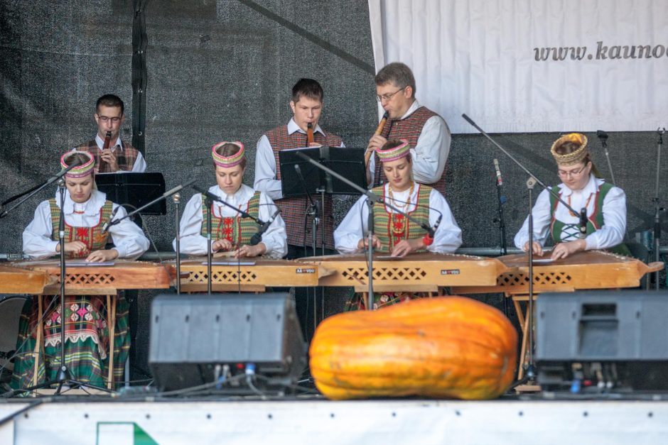 Folkloro festivalio scenoje labiausiai trūko gruzinų