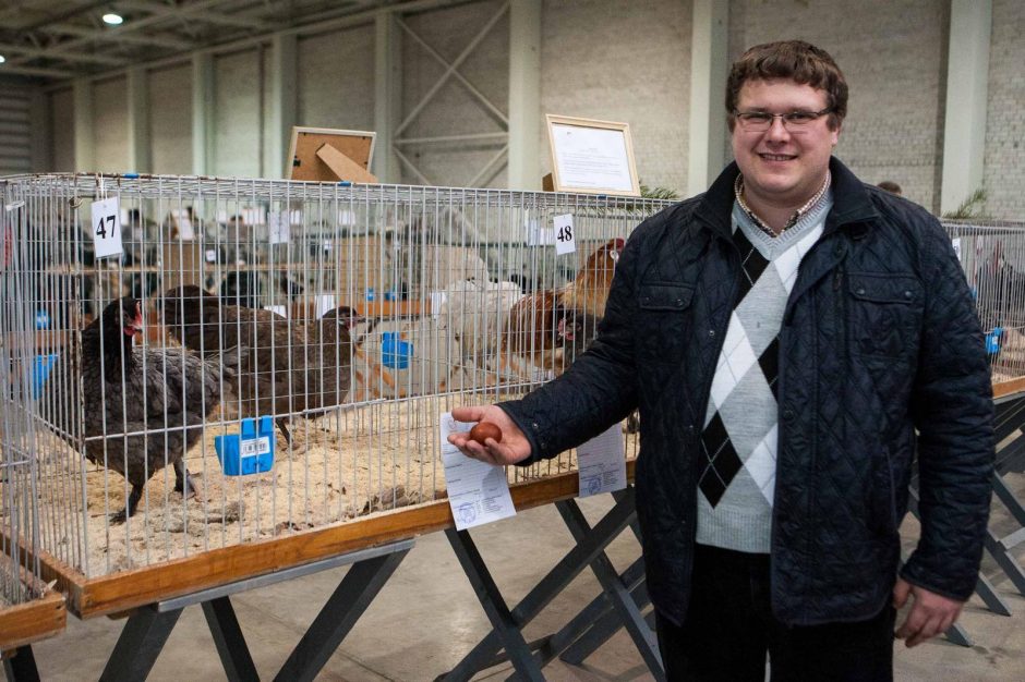 Paukščiai, kurie ne tik puošia, bet ir saugo namus