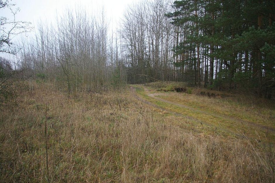 Trims archeologinio paveldo objektams suteikta teisinė apsauga