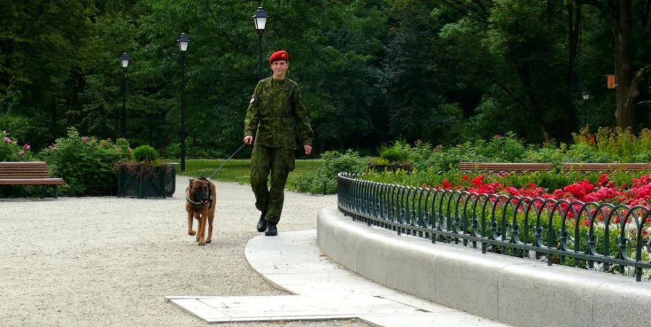 Karo policijoje tarnybą pradėjo nauja keturkojė pareigūnė