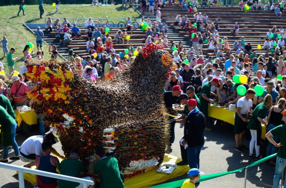 Paukščių festivalyje pasiektas rekordas