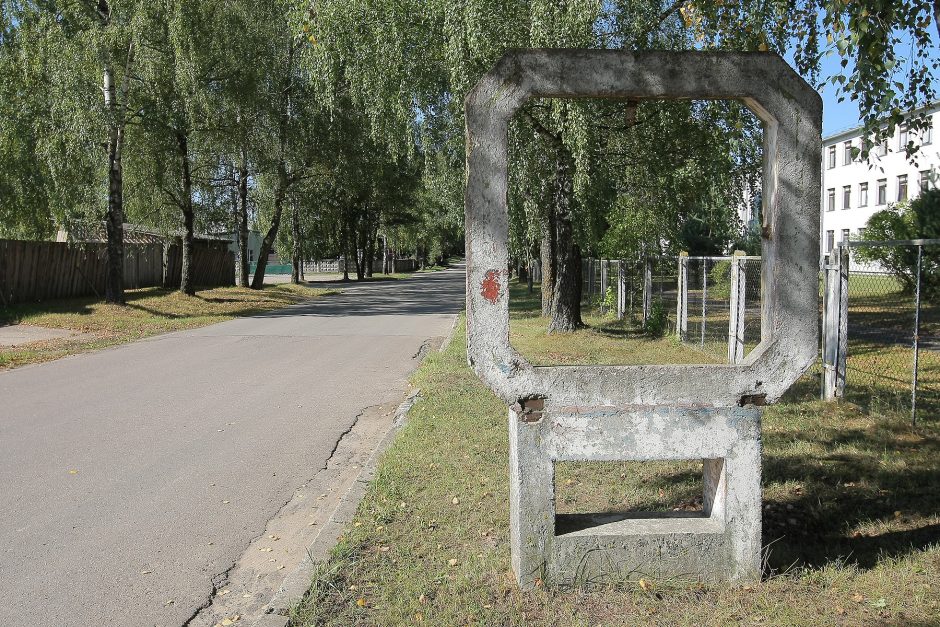 Rukla labiau bijo savų nei pabėgėlių