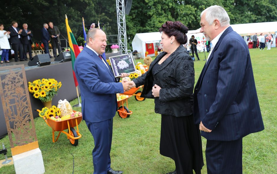 Rūtas pakaunės darželiuose išstumia prancūziškos levandos