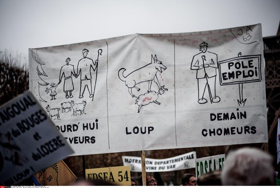 Eifelio bokšto papėdėje – ūkininkų ir avių protestas