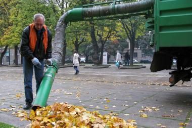 Mašinų su straubliais sezonas - įkarštyje