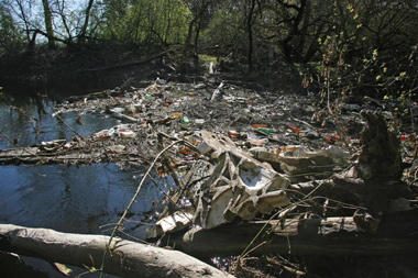 Miškai apauga šiukšlynais