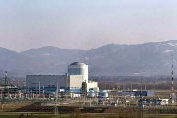 Slovėnijoje dėl vandens nuotėkio sustabdyta atominė elektrinė