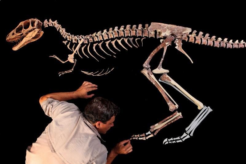 Mokslininkai mano aptikę seniausią dinozaurą 
