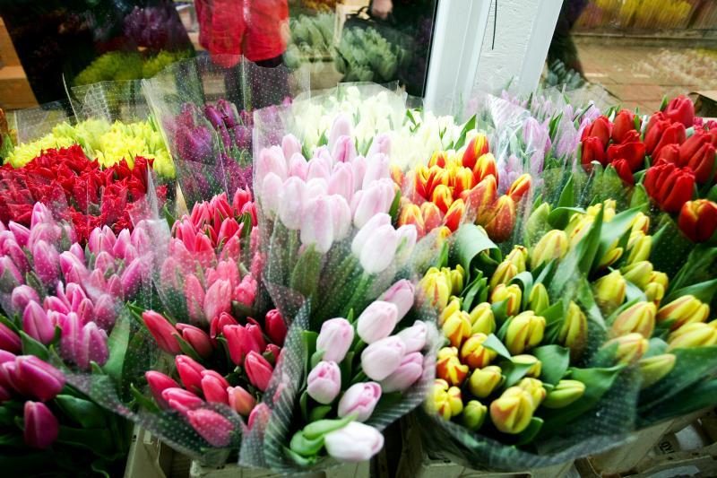 Smūgis šešėlinei prekybai gėlėmis: po 150 kratų – įtarimai 15 asmenų