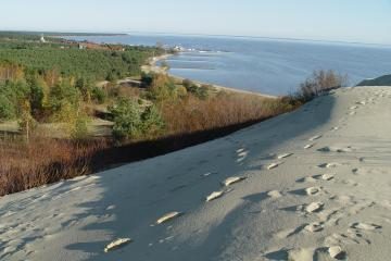 A.Paulauskas pritaria siūlymui pakviesti UNESCO ekspertus