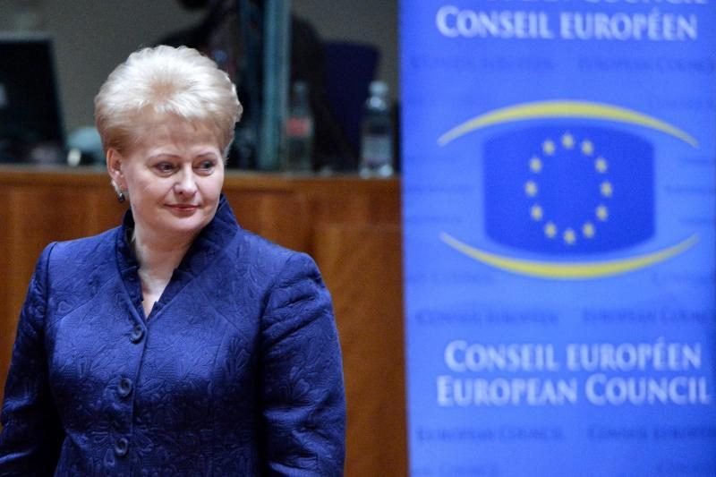 D. Grybauskaitė: ES vėluoja įgyvendinti ekonomikos skatinimo priemones