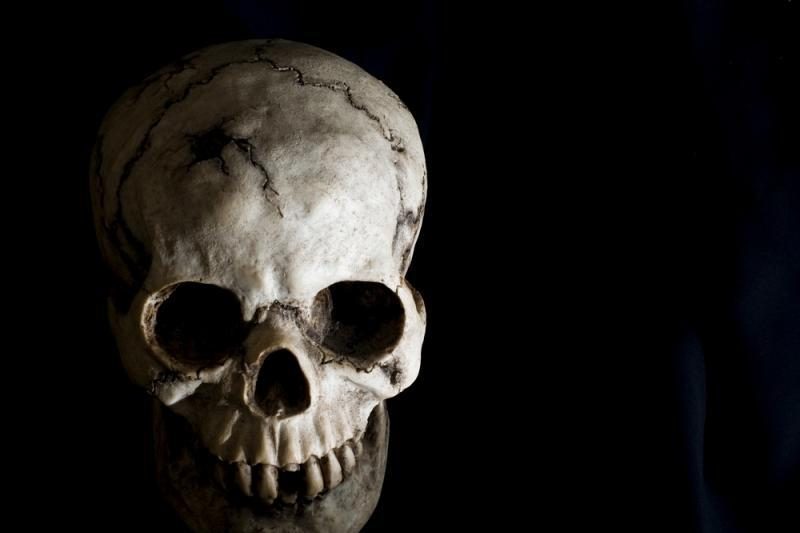 Kinijoje rastos senovinių žmonių fosilijos glumina mokslininkus