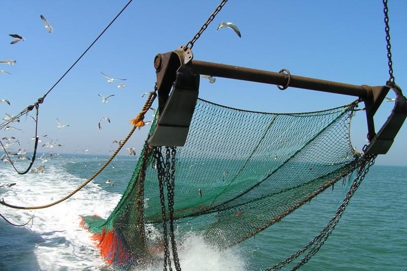 Ministras ragina atiduoti žvejybinius tinklus (atidavimo vietos)