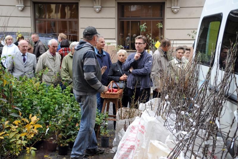 Vilniuje - tradicinė rudens gėrybių mugė 