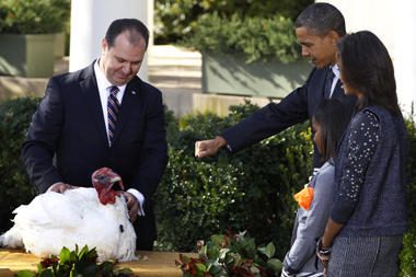 B.Obama prieš Padėkos dieną suteikė malonę dviem kalakutams