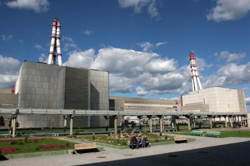 V.Žiemelis siūlo skelbti referendumą dėl naujos atominės elektrinės