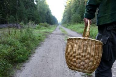 Neringiškiams leista grybauti ir uogauti rezervatuose 