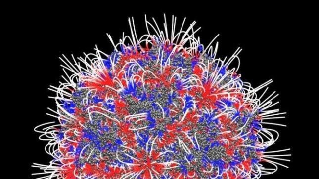 Nanodalelės gali padėti organizmui kovoti su užkrečiamomis ligomis