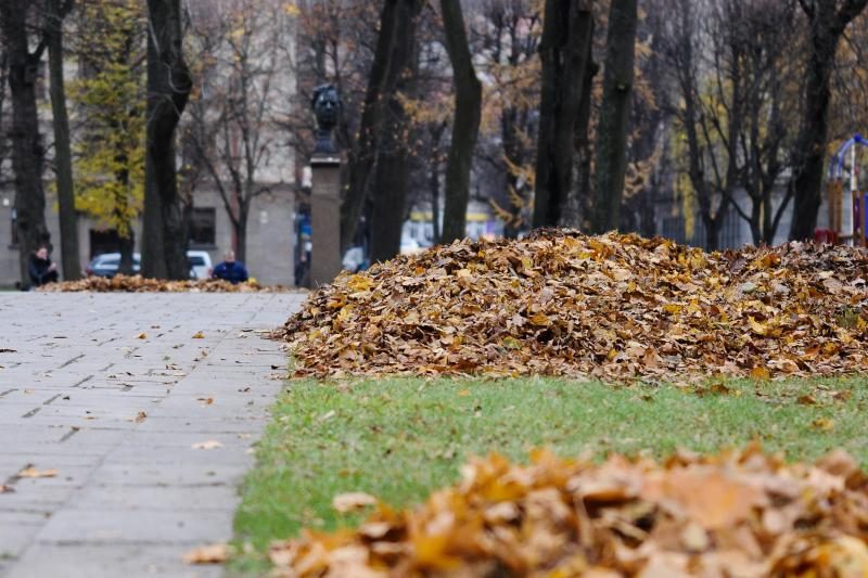 Gyventojų prašo sugrėbtų lapų nepalikti pakelėse