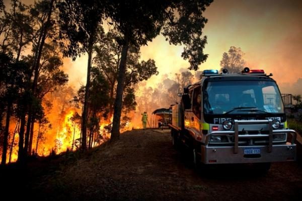Australijoje sparčiai plinta miškų gaisrai