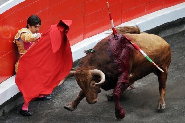 Ispanijoje iš koridos arenos ištrūkęs bulius sužeidė 30 žmonių