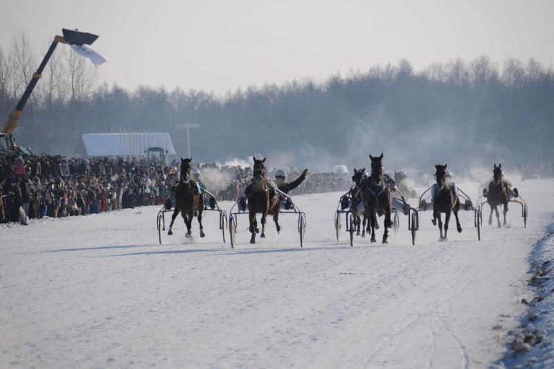 Tradicinės žirgų lenktynės „Sartai 2013“ vyks vasario 2 dieną