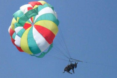 Rusijoje britų žurnalistams parduota netikra asilė parašiutininkė