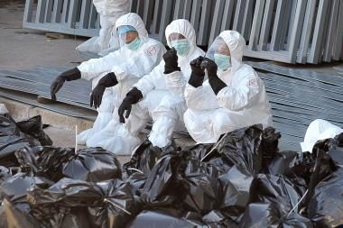 Vokietijoje – paukščių gripas, Vengrijoje – kiaulių maras 