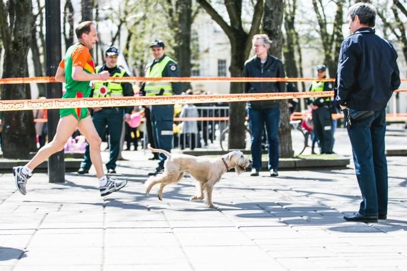 Istoriniame bėgime už S. Darių ir S. Girėną – ir vaikai, ir senjorai