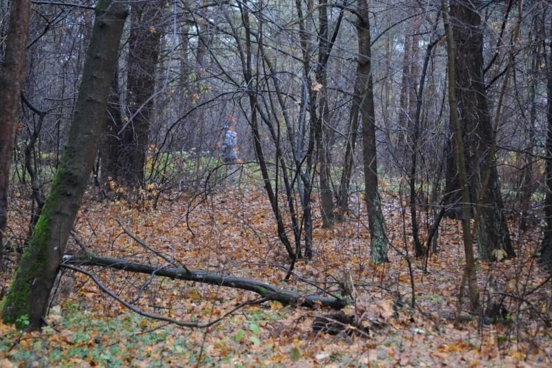 Skaudi avarija Vilniuje: šoko ištikta mergina pabėgo į mišką