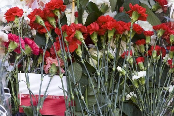Vilniaus moksleiviai prie Lenkijos ambasados pagerbia žuvusiuosius (dar papildyta)