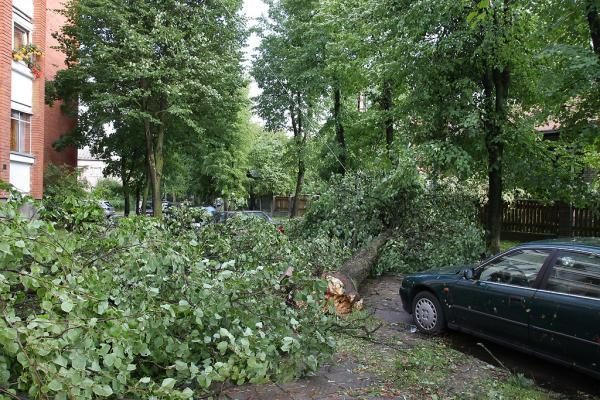 Sekmadienio naktį miestą nusiaubė audra (papildyta)