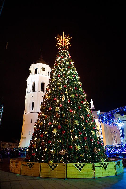 Vilniuje įžiebta įspūdinga Kalėdų eglė   