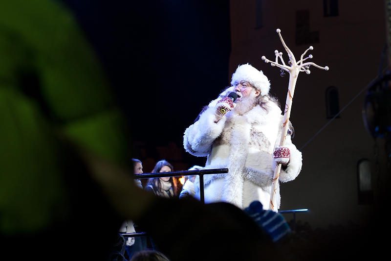 Vilniuje įžiebta įspūdinga Kalėdų eglė   