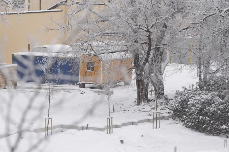 Sereikiškių parko rekonstruotojams šaltis – ne kliūtis dirbti?