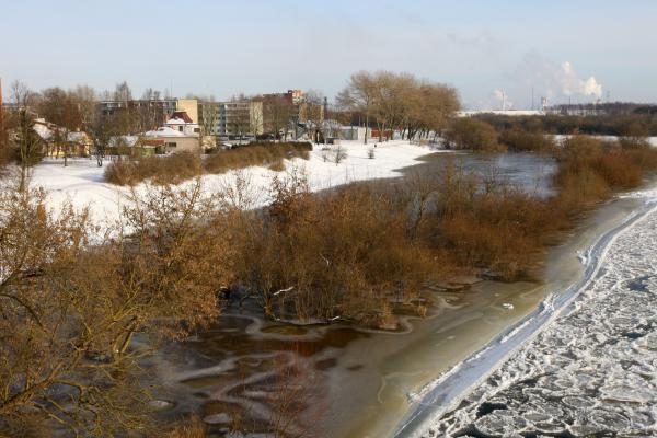 Neries ledo lytys grįžta į Vilnių