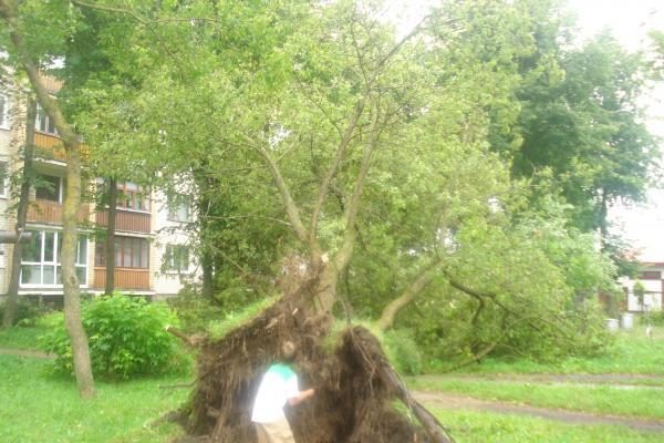 Škvalas pasiglemžė mažiausiai 4 žmonių gyvybes (patikslinta)