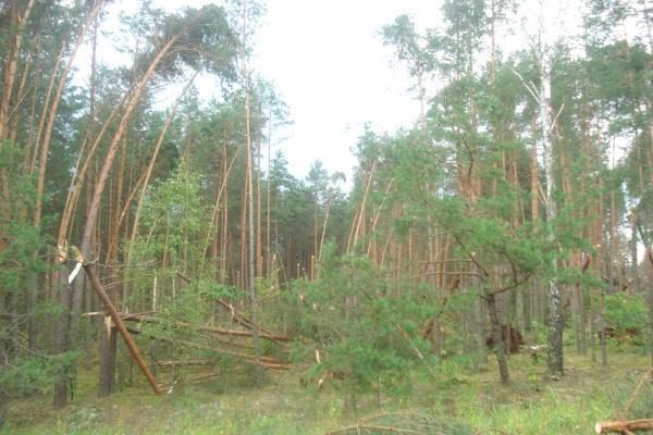 Škvalas pasiglemžė mažiausiai 4 žmonių gyvybes (patikslinta)