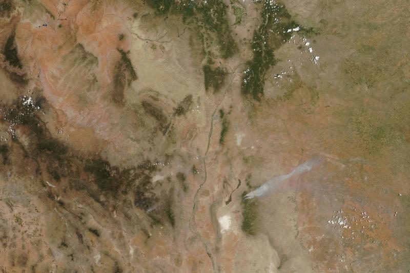 JAV dega didžiuliai miškų plotai, pradėta gyventojų evakuacija